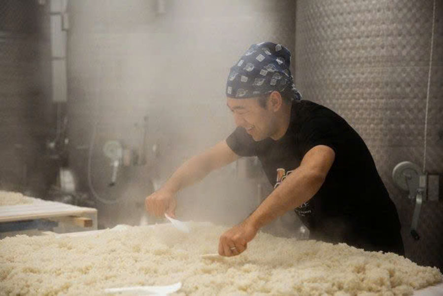 Rượu sake bao nhiêu tiền