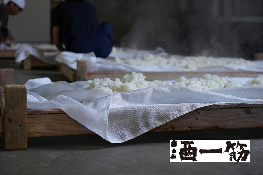 Rượu sake bao nhiêu tiền Rượu sake bao nhiêu tiền