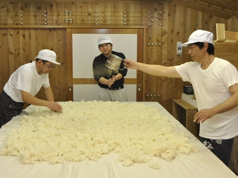 rượu sake hakurakusei tokubetsu junmai