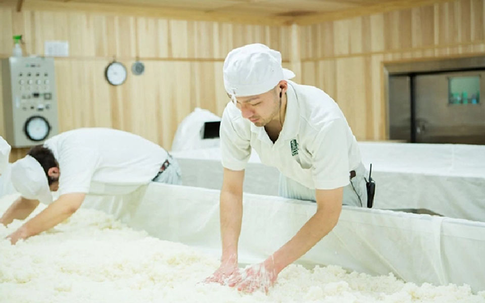 Rượu sake là gì? Bí quyết thưởng thức và phân loại A-Z Rượu sake là gì? Bí quyết thưởng thức và phân loại A-Z