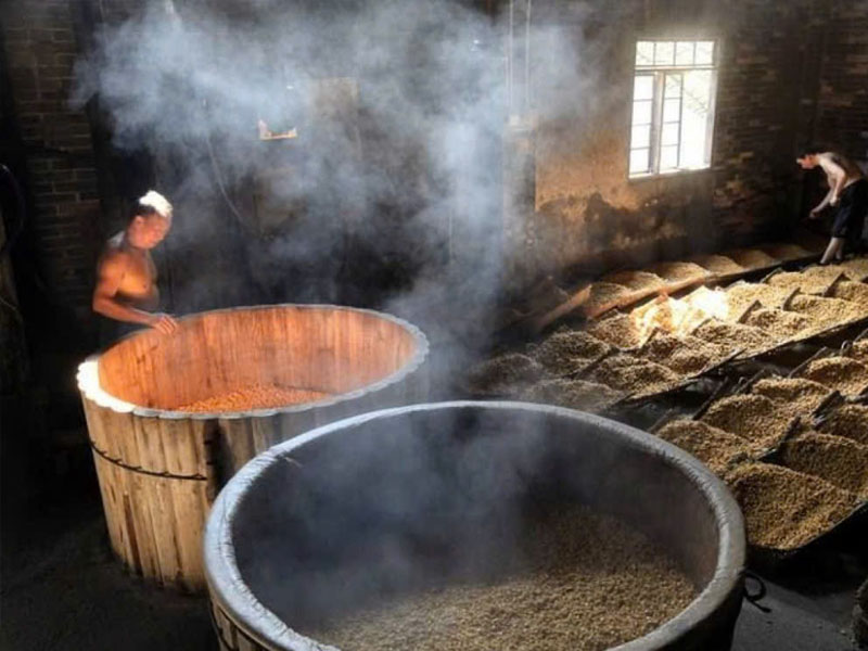 so sánh 10 loại rượu sake nổi tiếng