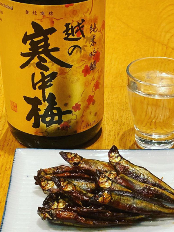 rượu sake koshino kanchubai kin label junmai ginjo