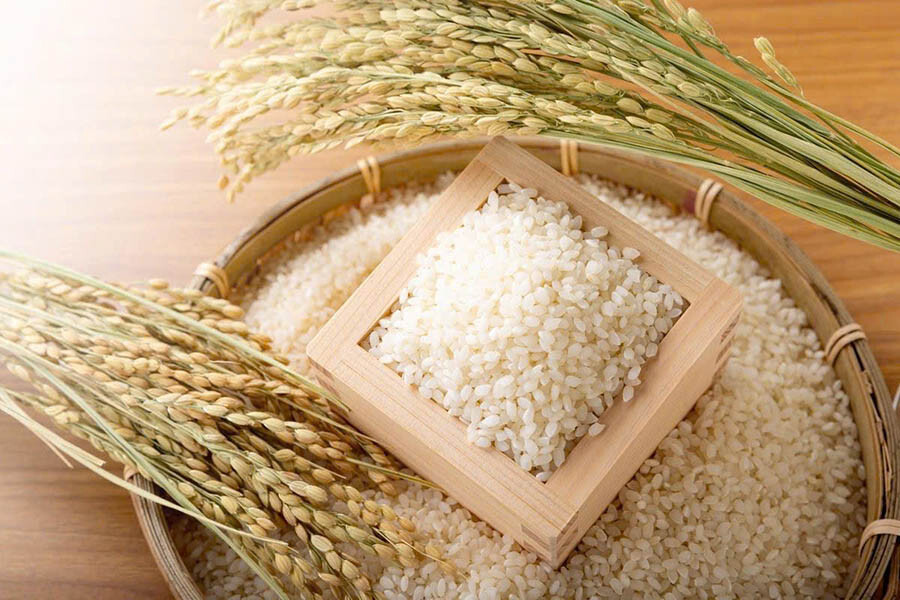 rượu sake làm từ gì? thành phần, quy trình sake nhật chi tiết rượu sake làm từ gì? thành phần, quy trình sake nhật chi tiết